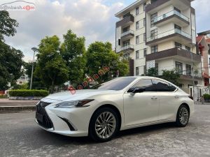 Xe Lexus ES 250 2022