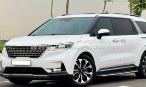 Xe Kia Carnival Signature 2.2D 2022