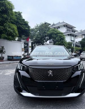 Xe Peugeot 2008 GT Line 1.2 AT 2021